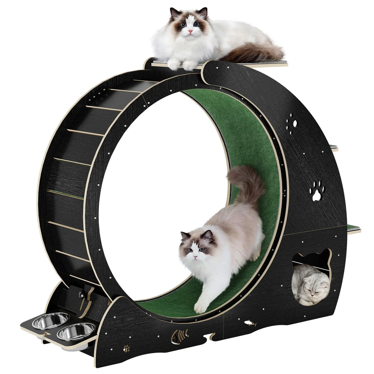 HiMISS 6 In 1 Cat Exercise Wheel With Scratch Post