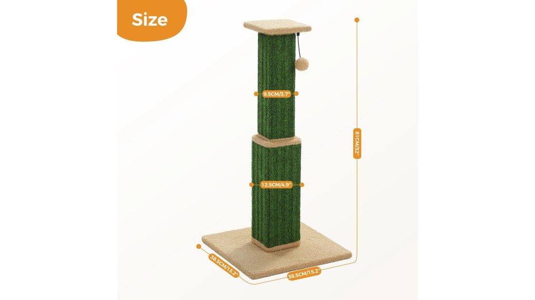 Best Cat Scratching Posts With Toys for Kittens