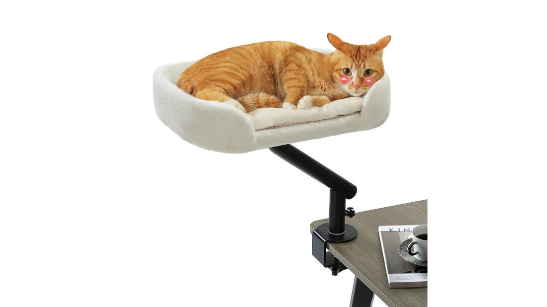 Is Convenient Delivery of Pet Essentials Worth It?