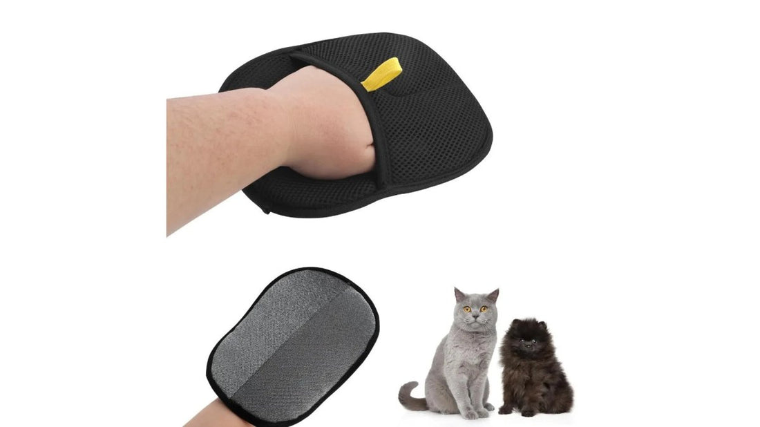 5 Cat Grooming Tools for Short-Haired Cats