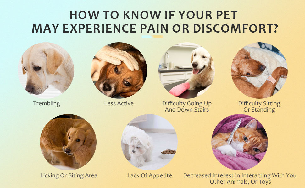 Pet Red Light Therapy Device for Dogs Cats Hand-Free Infrared 940nm 650nm 520nm LED Dog Arthritis Joint Pain Relief Wearable Vet Device Cold Laser Skin Infections Treatment 5 Wavelengths Light Therapy Module Collar for Puppy