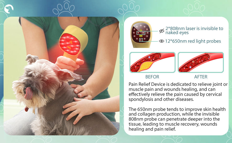 Pet Pain Relief  650nm 808nm Cold Low Level Laser Red Light Therapy Device Dog Cat Body Physical Muscle Therapy Equipment