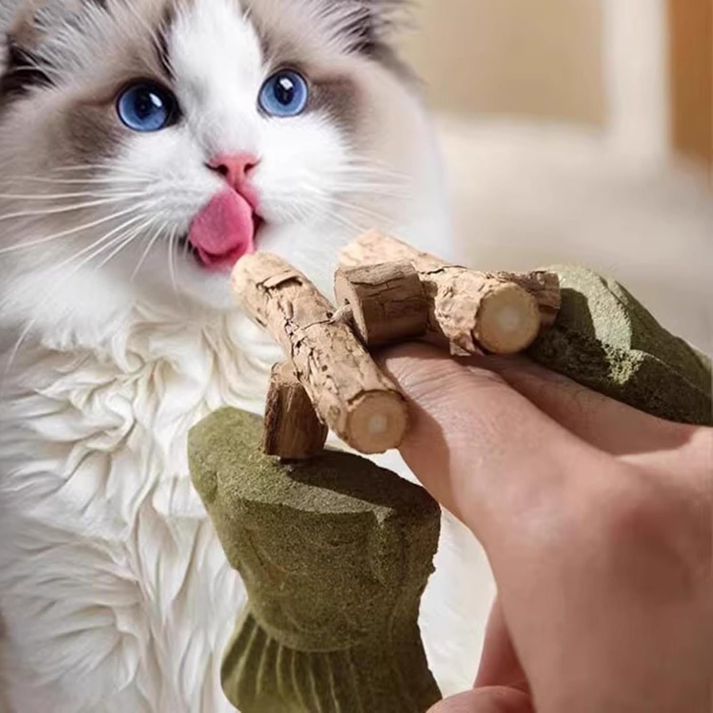 Dental Health Chew Toy for Cats - Bite-Resistant Fishbone Toy