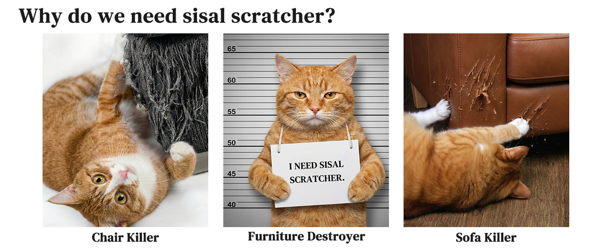 Natural Sisal Cat Scratcher Pad With Rolling Ball Track