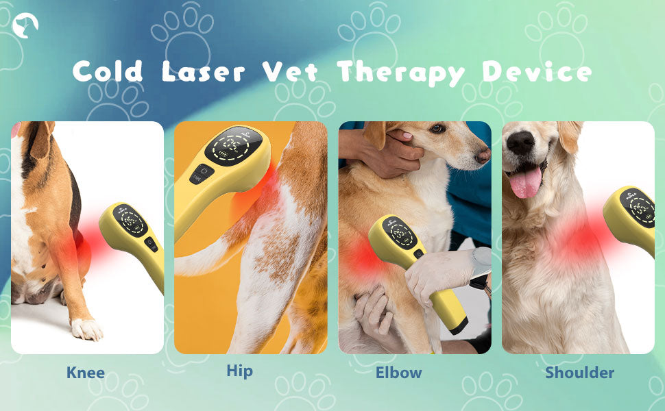 Pet Pain Relief  650nm 808nm Cold Low Level Laser Red Light Therapy Device Dog Cat Body Physical Muscle Therapy Equipment