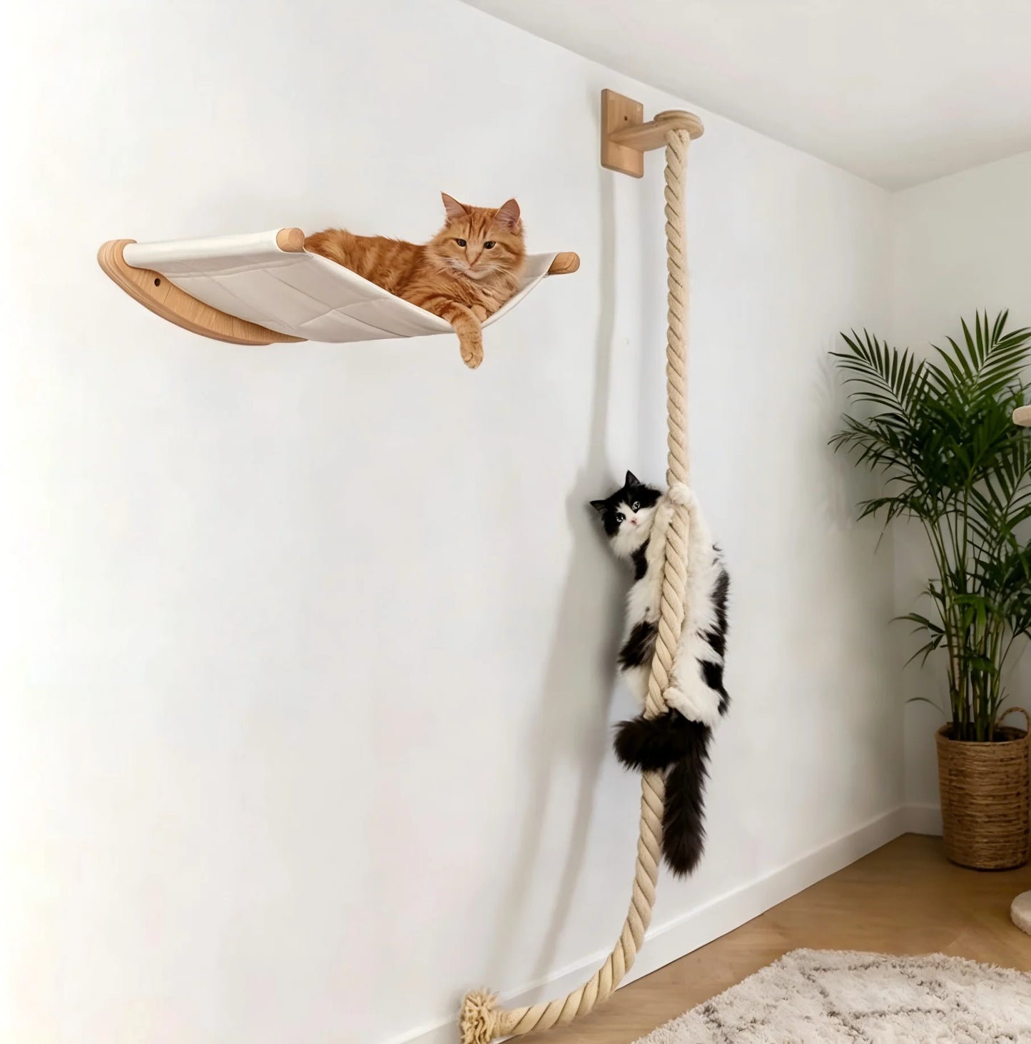 Wall Mounted Cat Hammock Set Multi Functional Climbing Shelves Perches Sisal Scratching Wooden Steps Ladder Large Cat Furniture Kit for Indoor Cats Sleeping Playing