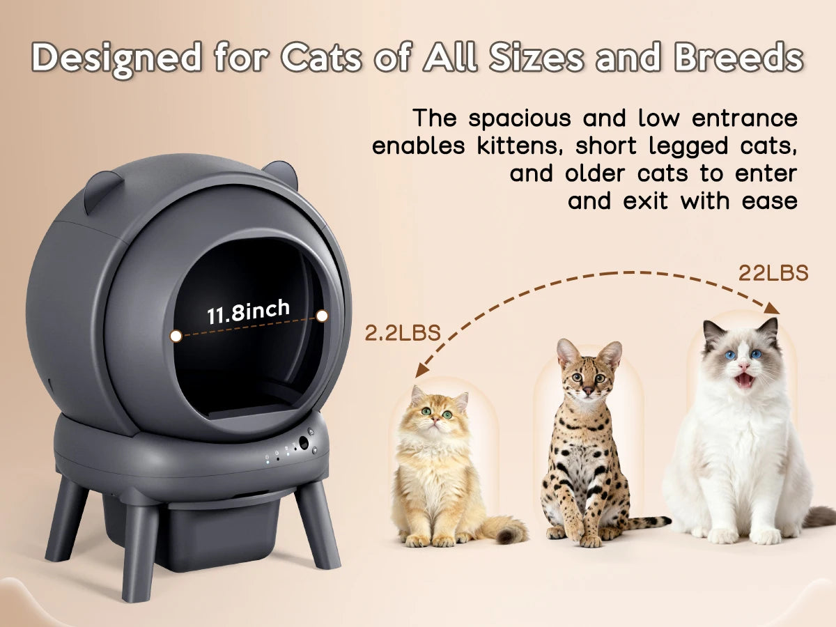 The Cumridge Self-Cleaning Litter Box is a high-performance, hygienic solution designed specifically for multi-cat households.