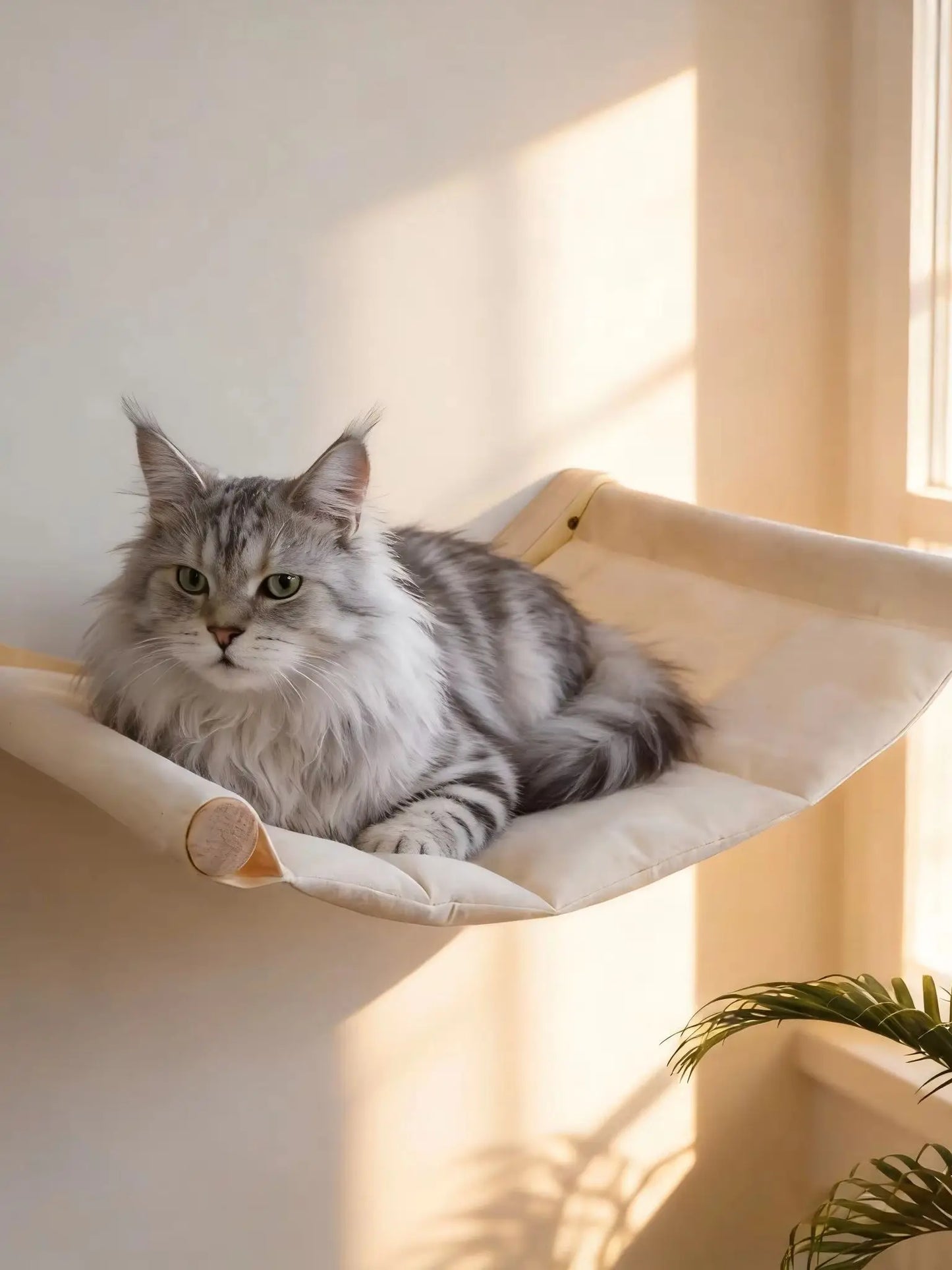 Wall Mounted Cat Hammock Set Multi Functional Climbing Shelves Perches Sisal Scratching Wooden Steps Ladder Large Cat Furniture Kit for Indoor Cats Sleeping Playing