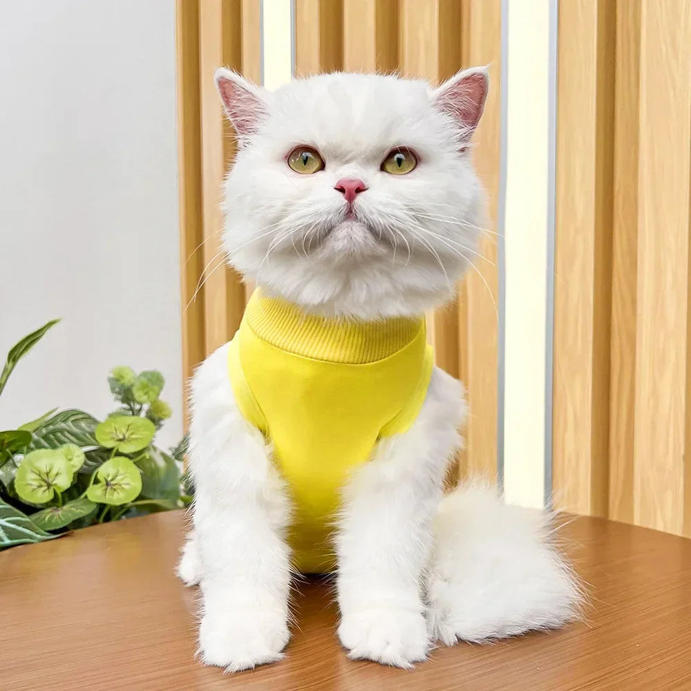 Anti Licking Pet Cat Clothes Girls Kitten Overall Pajamas Cat Clothes Recovery Suit Female Jumpsuit Cat Sterilization Vest Shirt