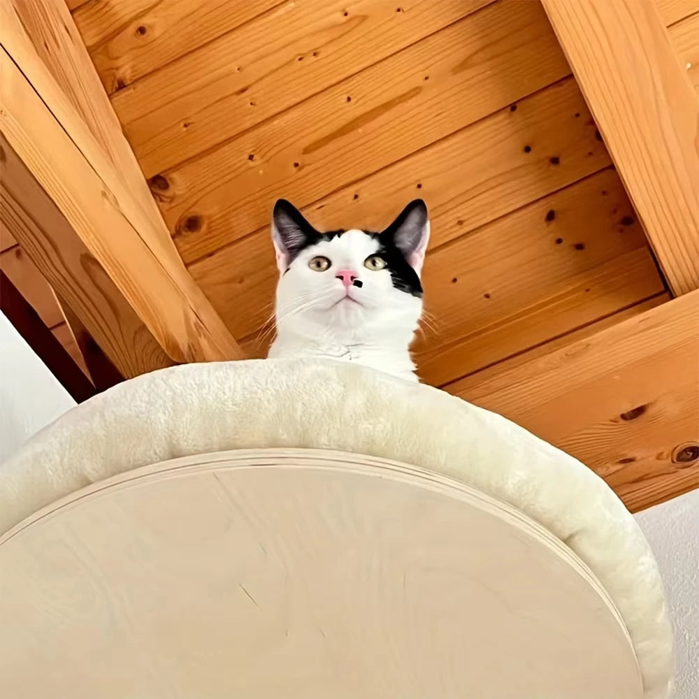CWV Wall Mounted Cat Climbing Ladder Hammock Scratching Post Perch