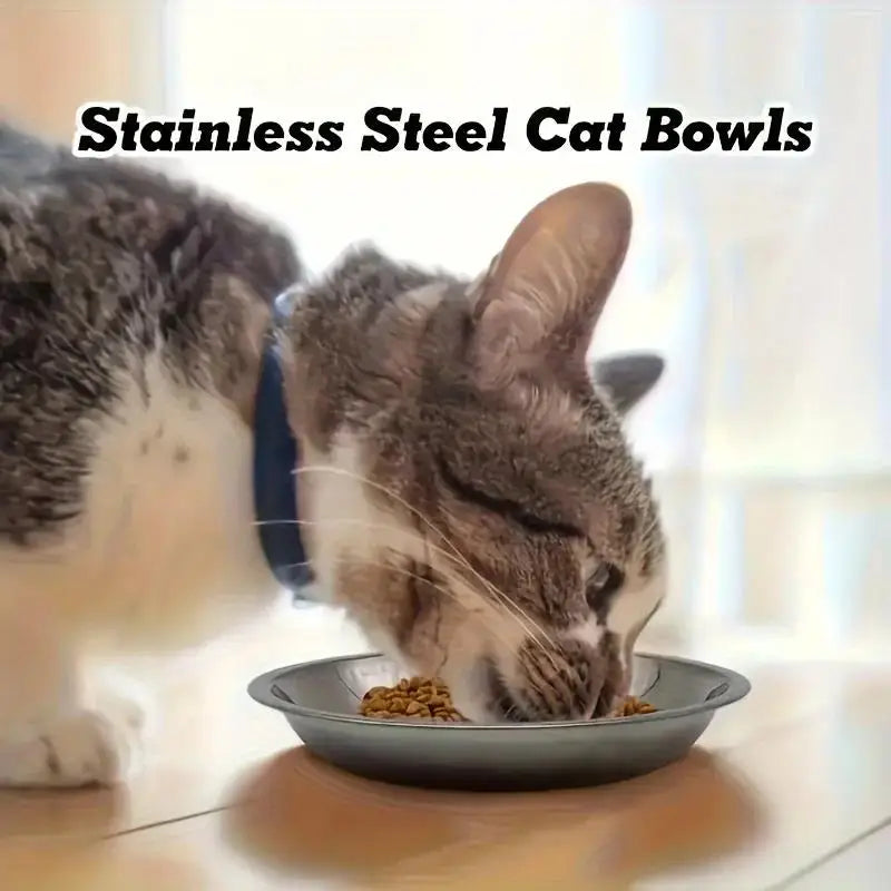 Stainless Steel Slip Resistant Cat Bowl With Anti Tip Base
