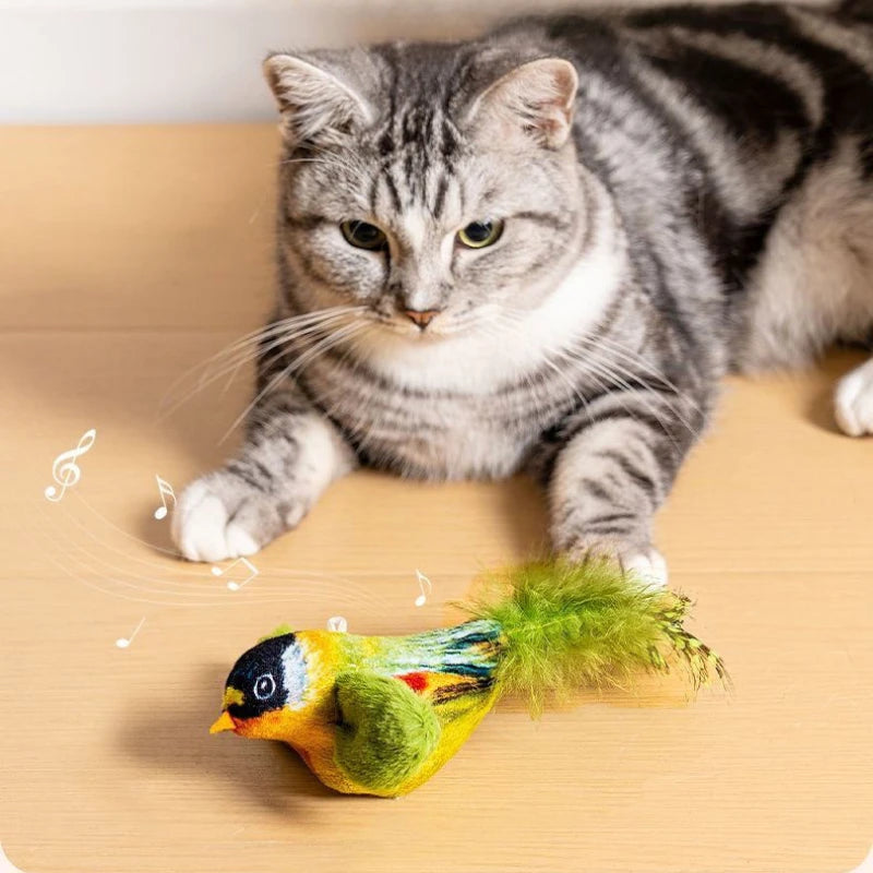 Indoor Interactive Cat Toy Bird Teaser Wall Hanging