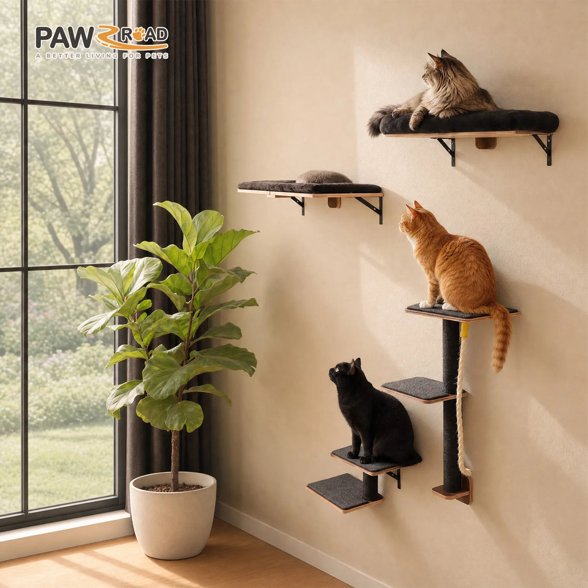 PAWZ Road Wooden Cat Wall Climbing Shelves With Scratching Posts
