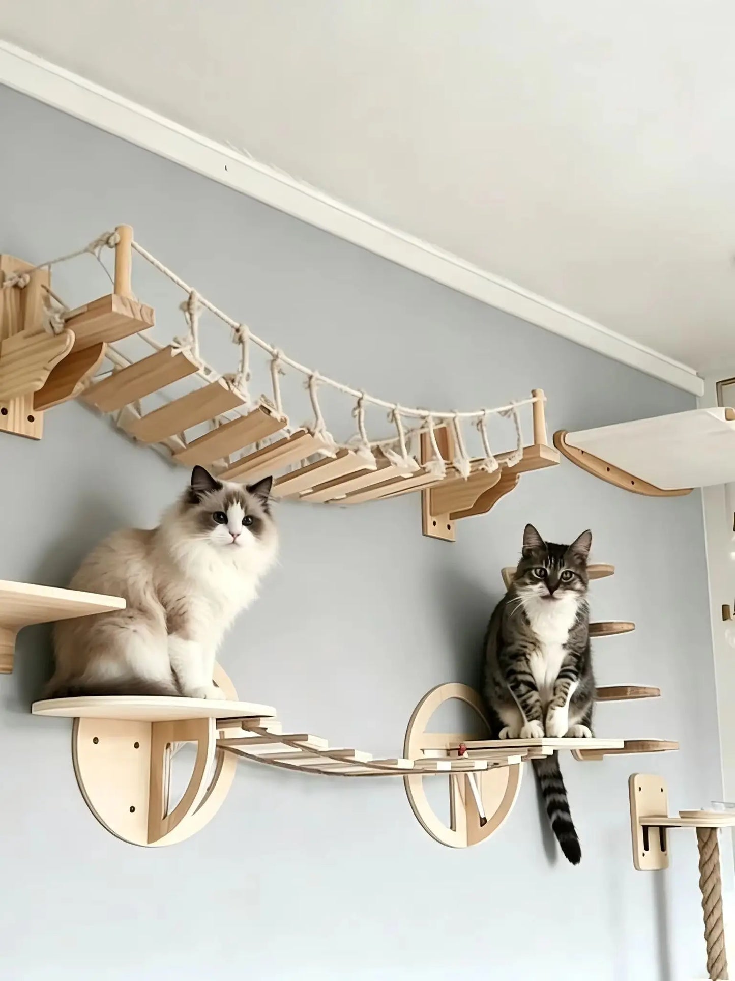 39.4In Wall-mounted Cat Roped Bridge for Indoor Cats Steps with Sisal Wall Wooden Furniture for Sleeping Playing Climbing