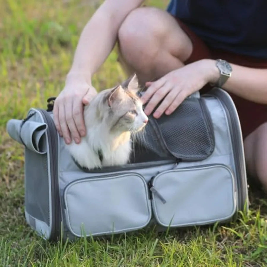 Soft Sided Cat Carrier Backpack With Mesh Windows Airline Approved