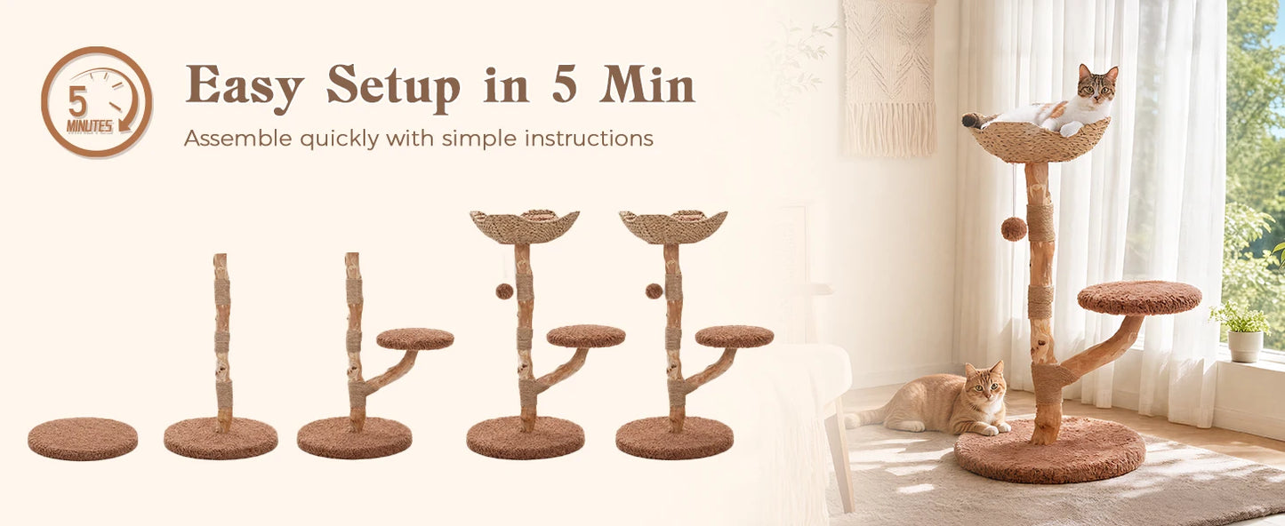 Wood Cat Tree with Wicker Basket Bed Sisal Scratching Posts Modern Cat Tower with Real Wood Branches Hanging Balls Luxury Boho Cat Furniture for Indoor Cat Toys