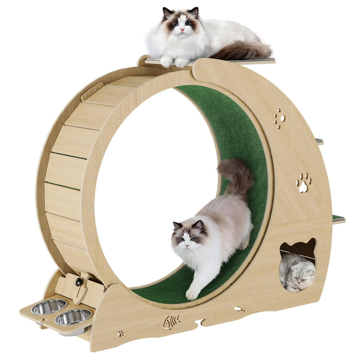 HiMISS 6 In 1 Cat Exercise Wheel With Scratch Post