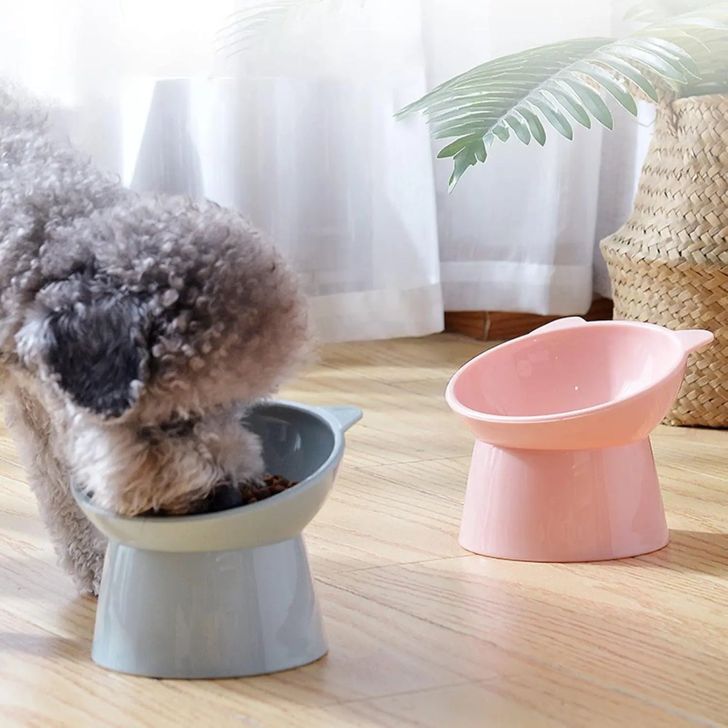 Tilted Cat Food Bowl - Whisker Friendly, Anti Vomiting, Slanted, Cat Bowl, Blue