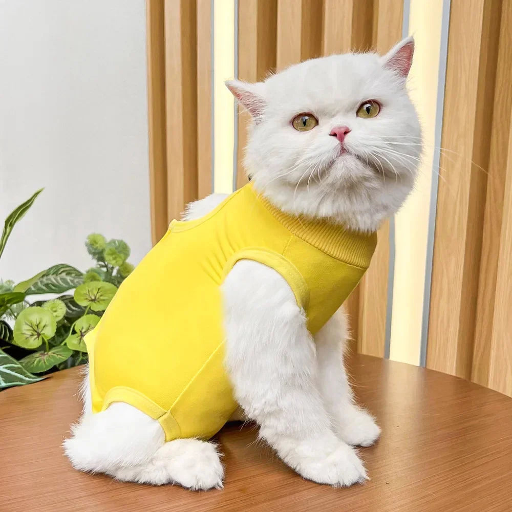 Anti Licking Pet Cat Clothes Girls Kitten Overall Pajamas Cat Clothes Recovery Suit Female Jumpsuit Cat Sterilization Vest Shirt