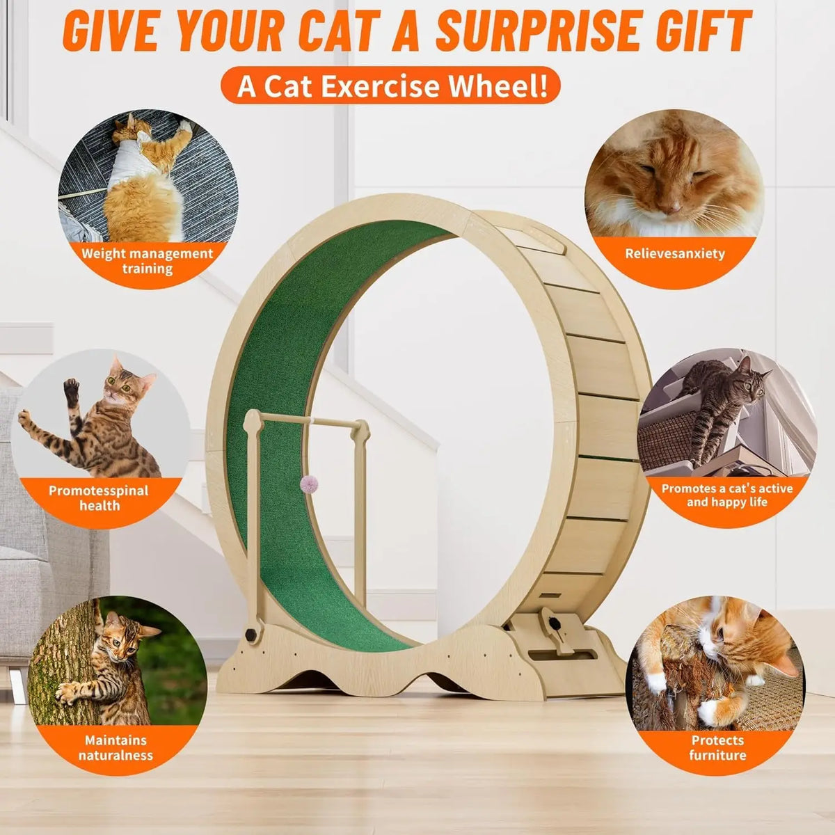 Studyset Cat Exercise Wheel With Solid Wooden Construction