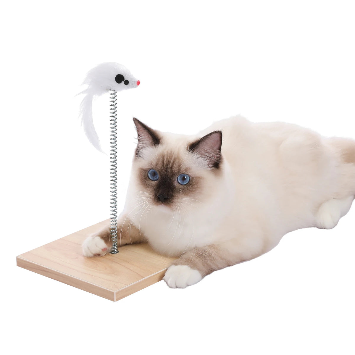 PAWZ Road Modern Cat Condo With Removable Mats And Scratcher by Annie N Poe Cattastic Supplies