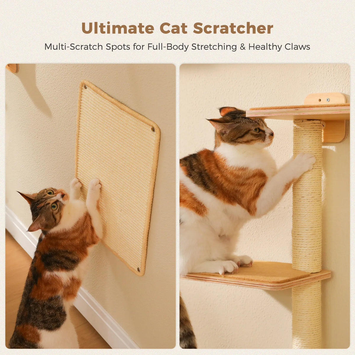 PAWZ Road Wooden Cat Wall Climbing Shelves With Scratching Posts