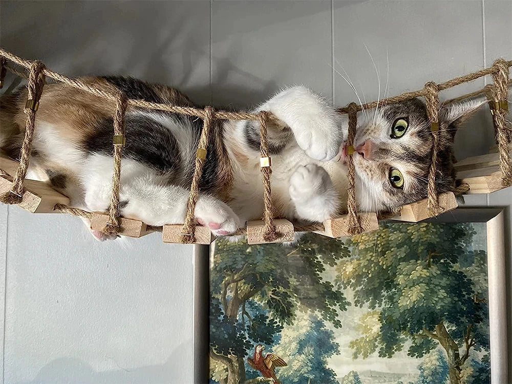 39.4In Wall-mounted Cat Roped Bridge for Indoor Cats Steps with Sisal Wall Wooden Furniture for Sleeping Playing Climbing
