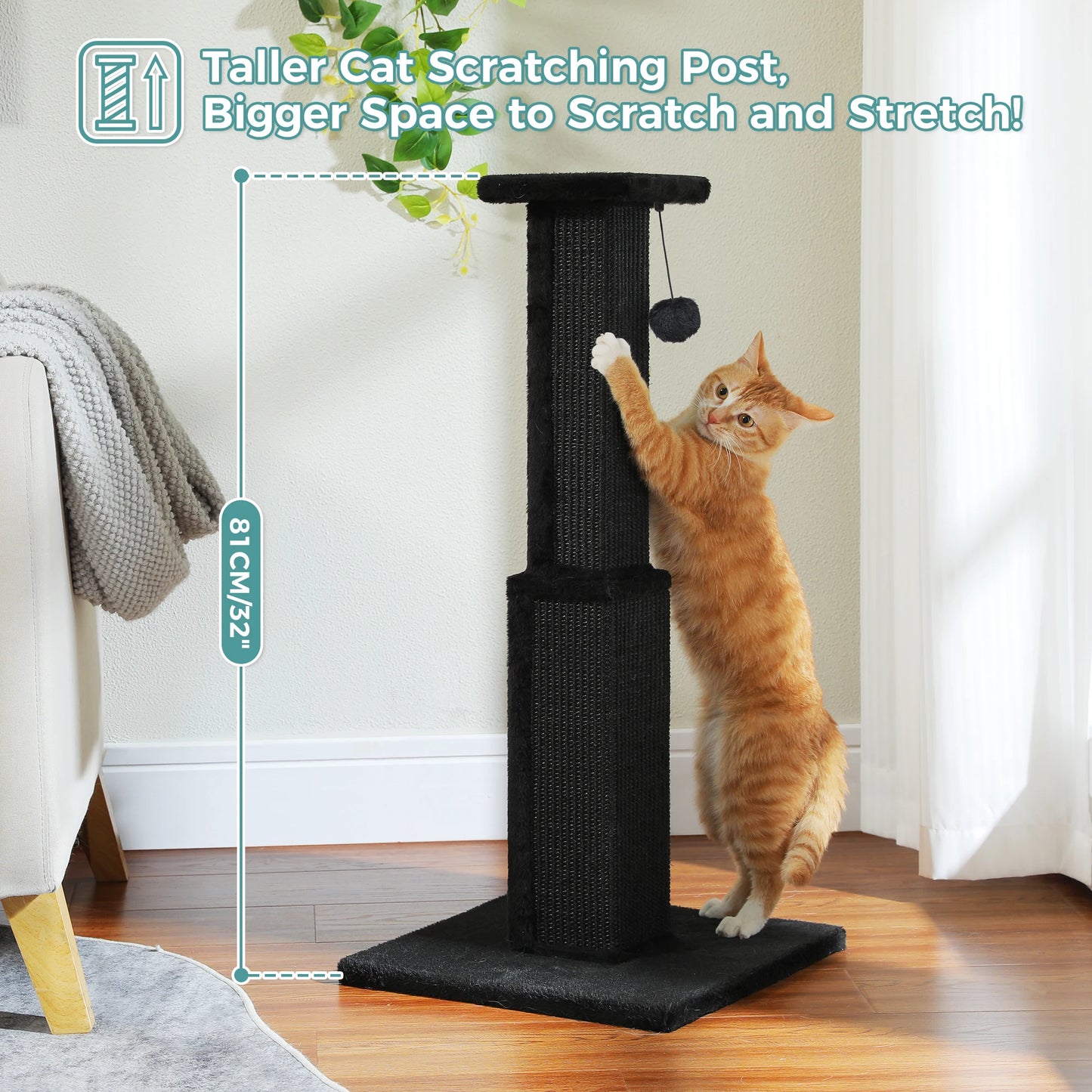 PAWZ Road Cat Scratching Post With Woven Sisal Ball Toy