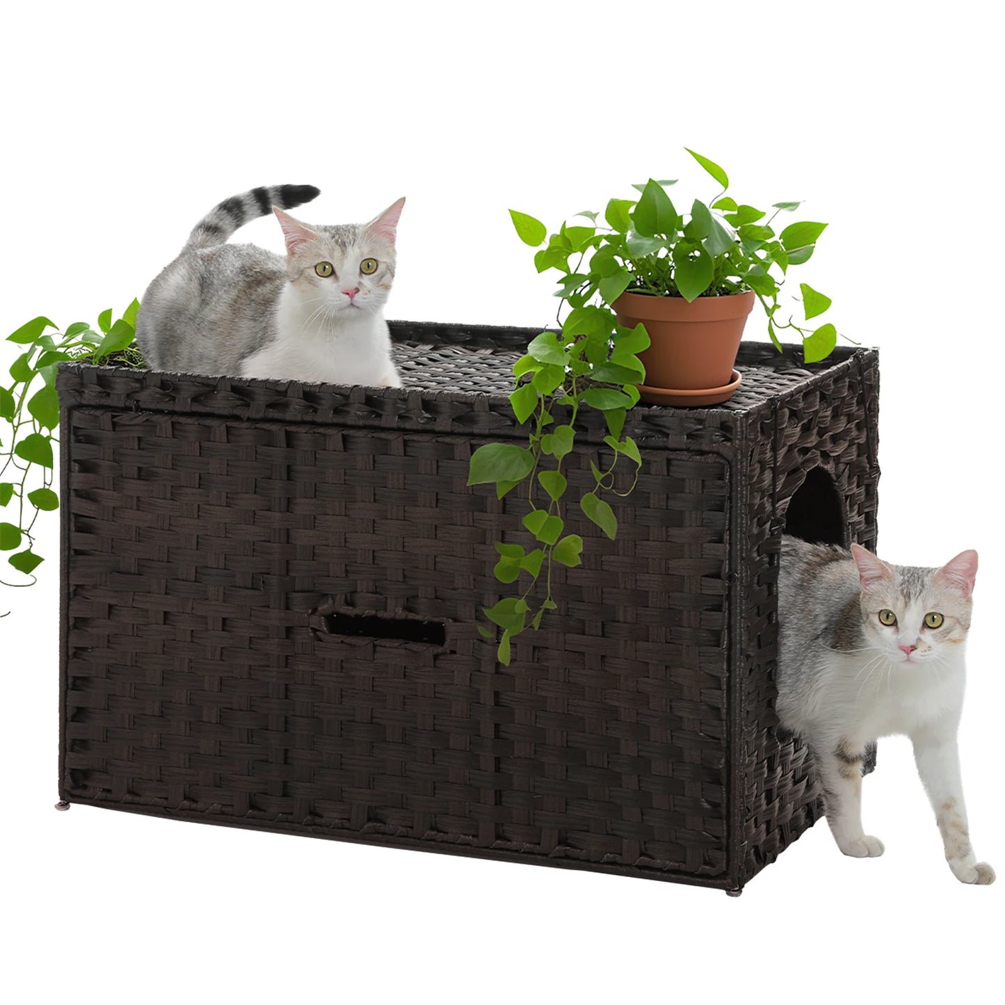 PEQULTI Rattan Cat Litter Box Enclosure With Flip Up Door