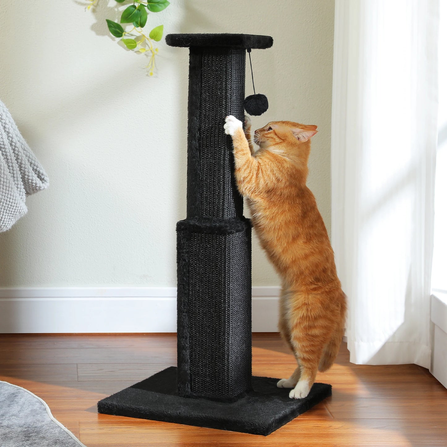 PAWZ Road Cat Scratching Post With Woven Sisal Ball Toy