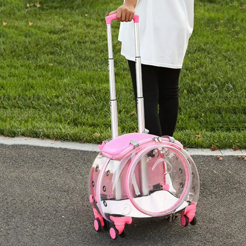 Pet Trolley Case Transparent Cat Carrier Backpack for Pets