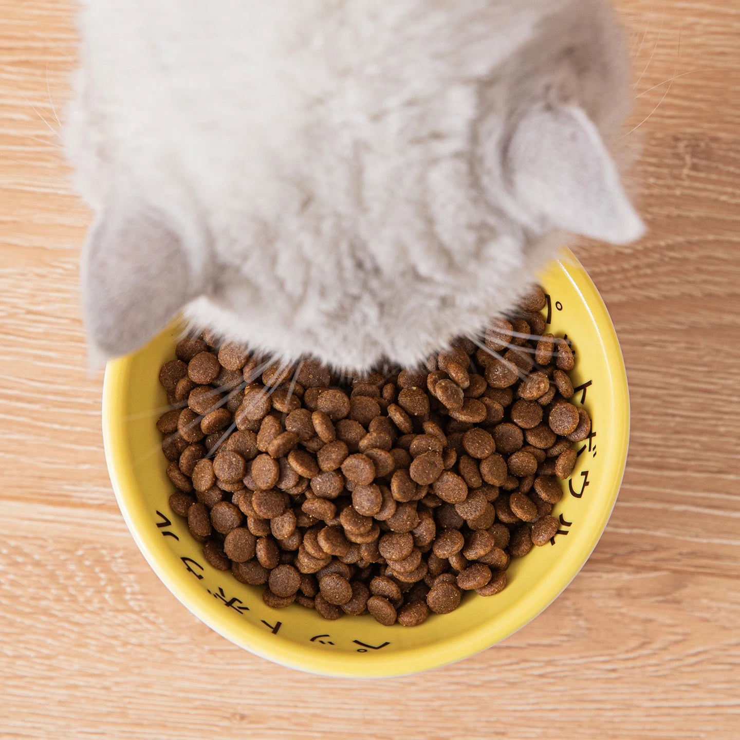 Japanese Ceramic Elevated Cat Bowl Puppy Dog Snacks Water Food Bowl For Cats Raised Cat Feeder Drinker Pet Supplies Accessories