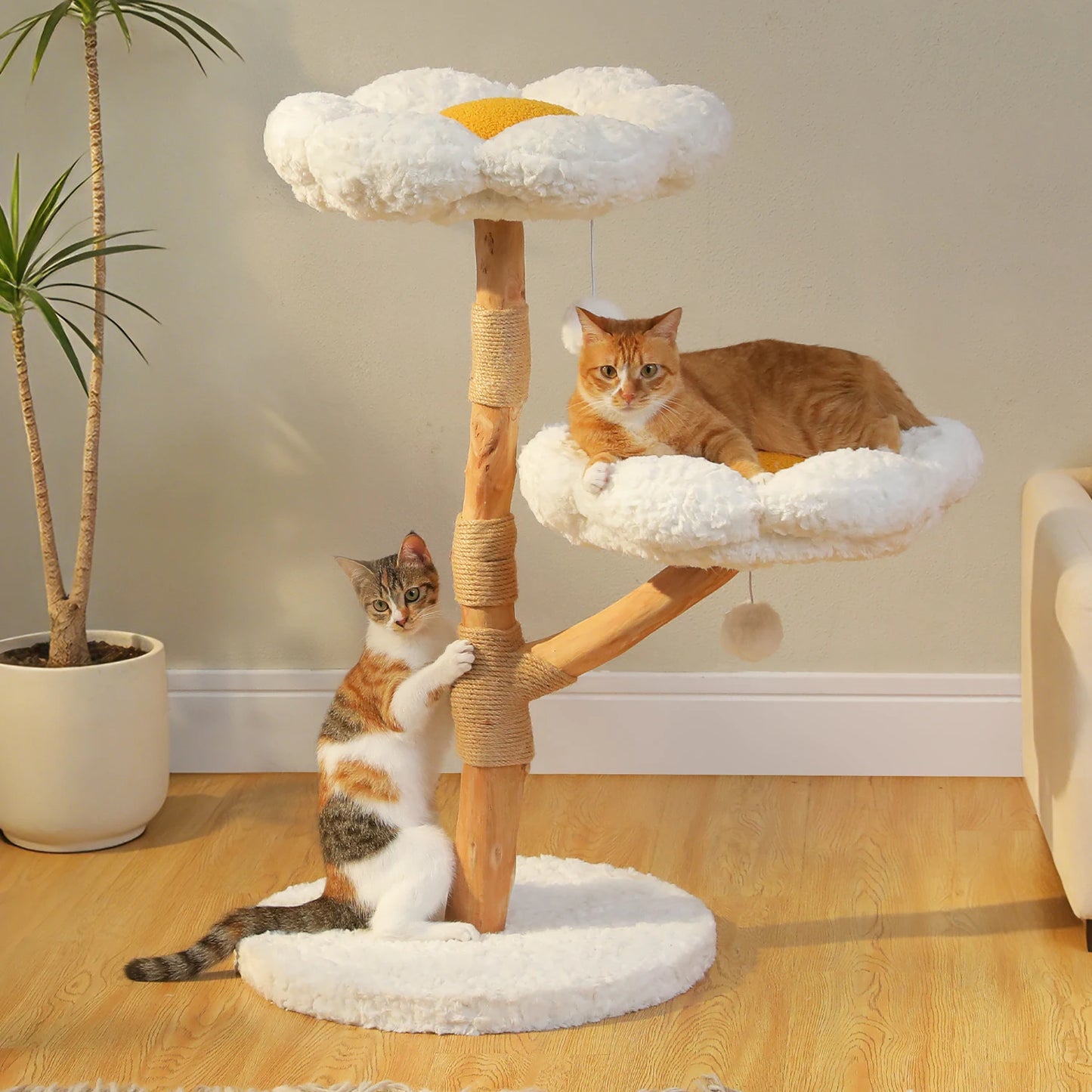 Wood Cat Tree with Wicker Basket Bed Sisal Scratching Posts Modern Cat Tower with Real Wood Branches Hanging Balls Luxury Boho Cat Furniture for Indoor Cat Toys