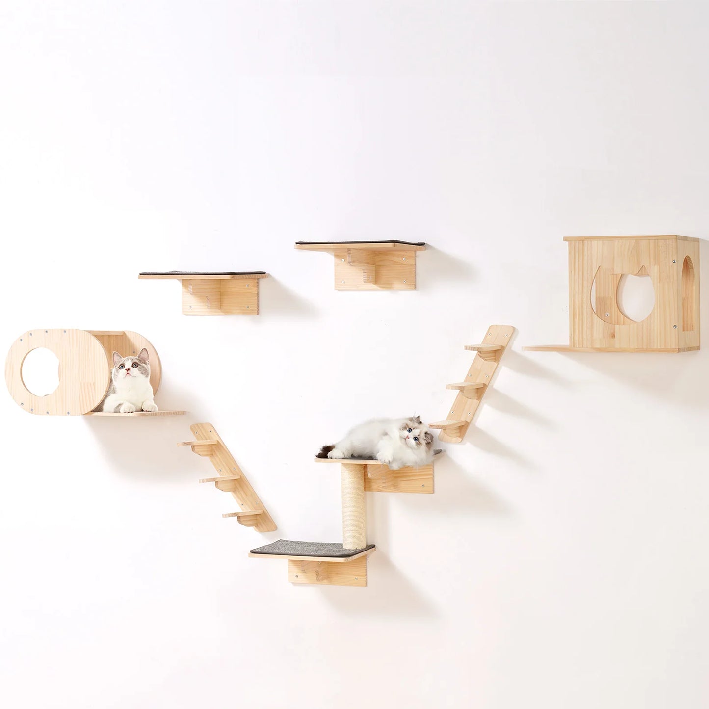 SucceBuy Cat Wall Shelves And Perches With Jumping Boards