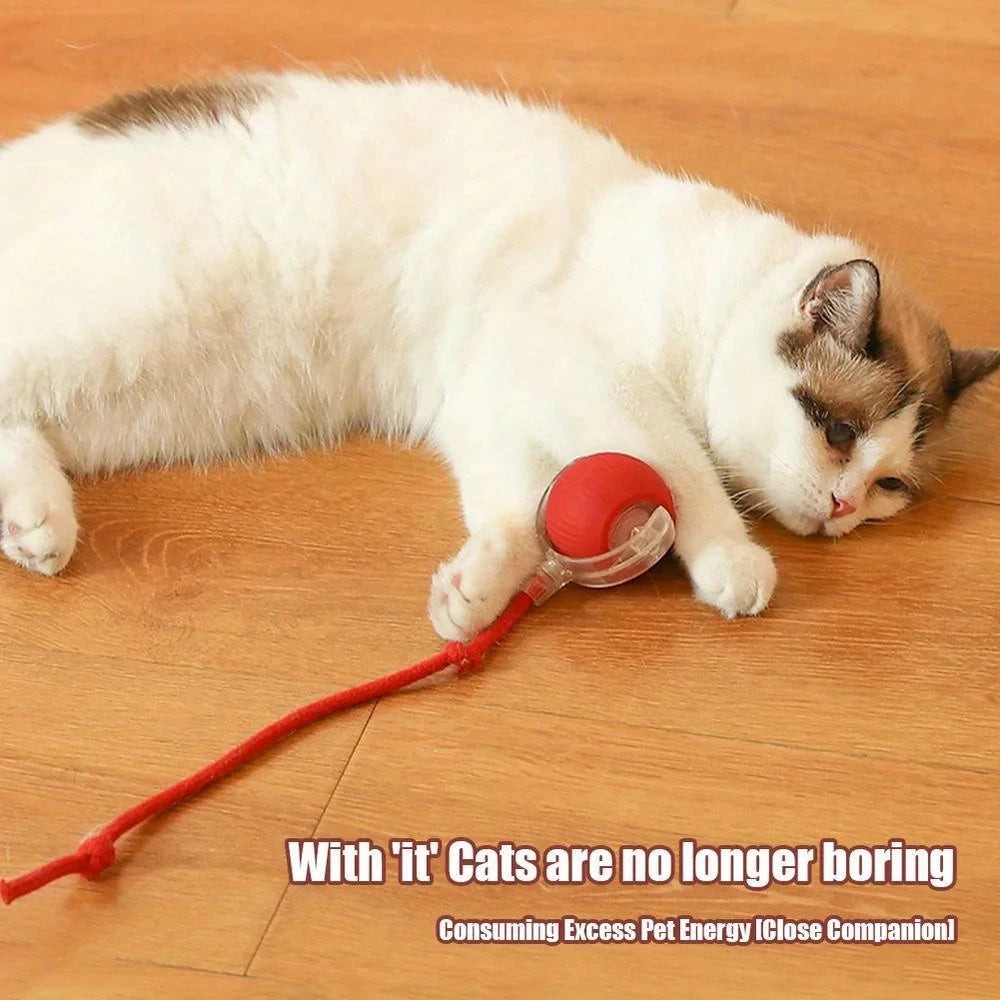 【In Stock】Smart Automatic Cat Rolling Ball USB Rechargeable LED Interactive Toy with Rope Tail Indoor Kitty Self Play Toy
