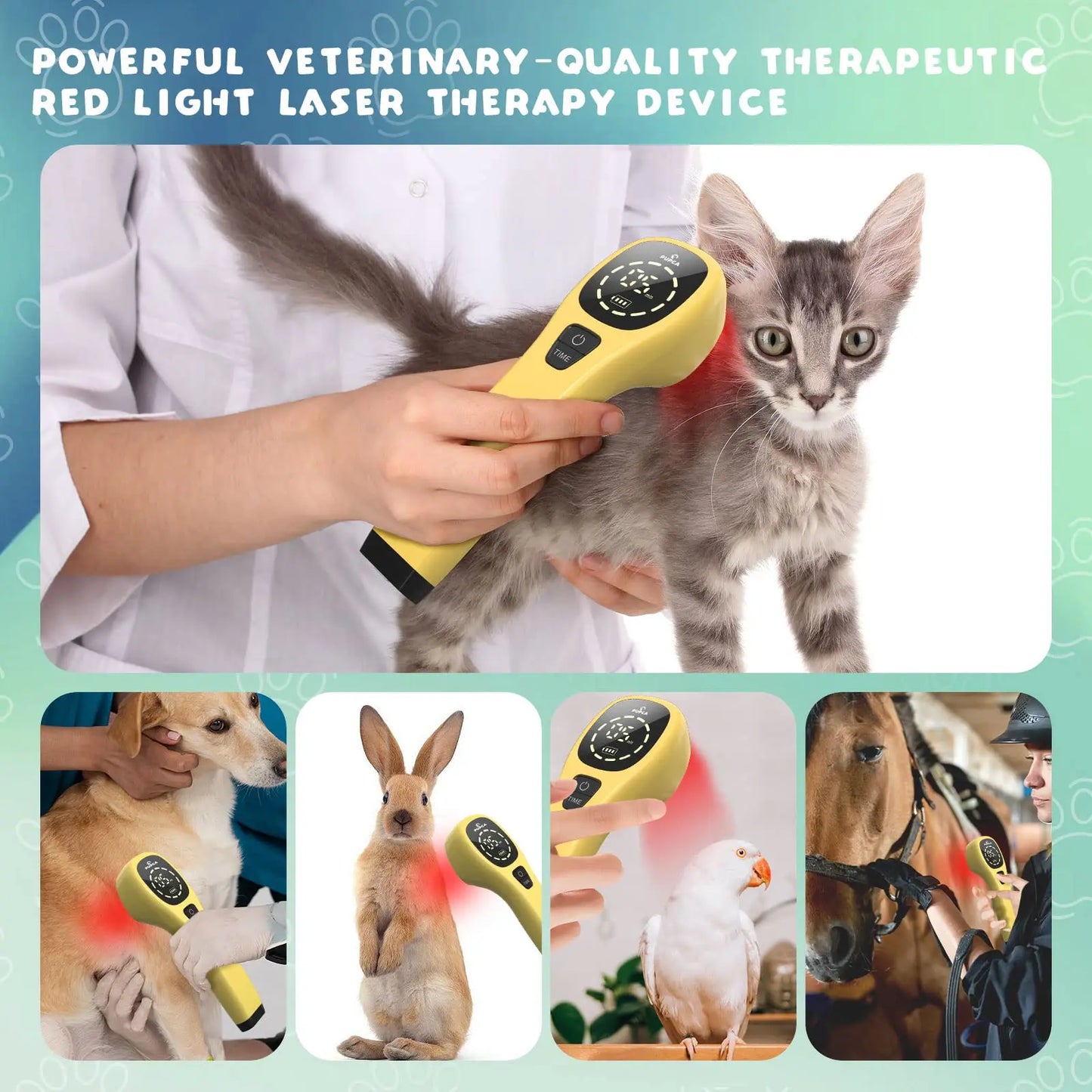 Pet Pain Relief  650nm 808nm Cold Low Level Laser Red Light Therapy Device Dog Cat Body Physical Muscle Therapy Equipment