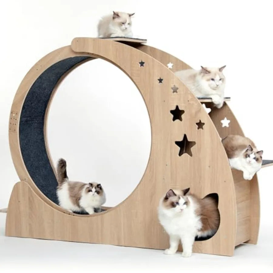 5-in-1 Cat Wheel for Indoor Cats 4.3 High Large Exercise Wheel with Silent Operation Durable Plastic and Wood Finish Compact De
