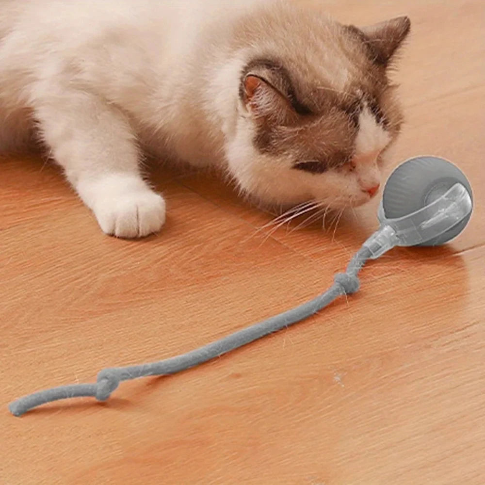 【In Stock】Smart Automatic Cat Rolling Ball USB Rechargeable LED Interactive Toy with Rope Tail Indoor Kitty Self Play Toy