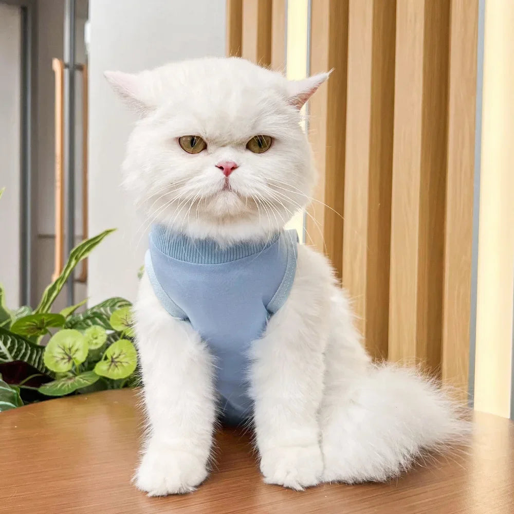 Anti Licking Pet Cat Clothes Girls Kitten Overall Pajamas Cat Clothes Recovery Suit Female Jumpsuit Cat Sterilization Vest Shirt