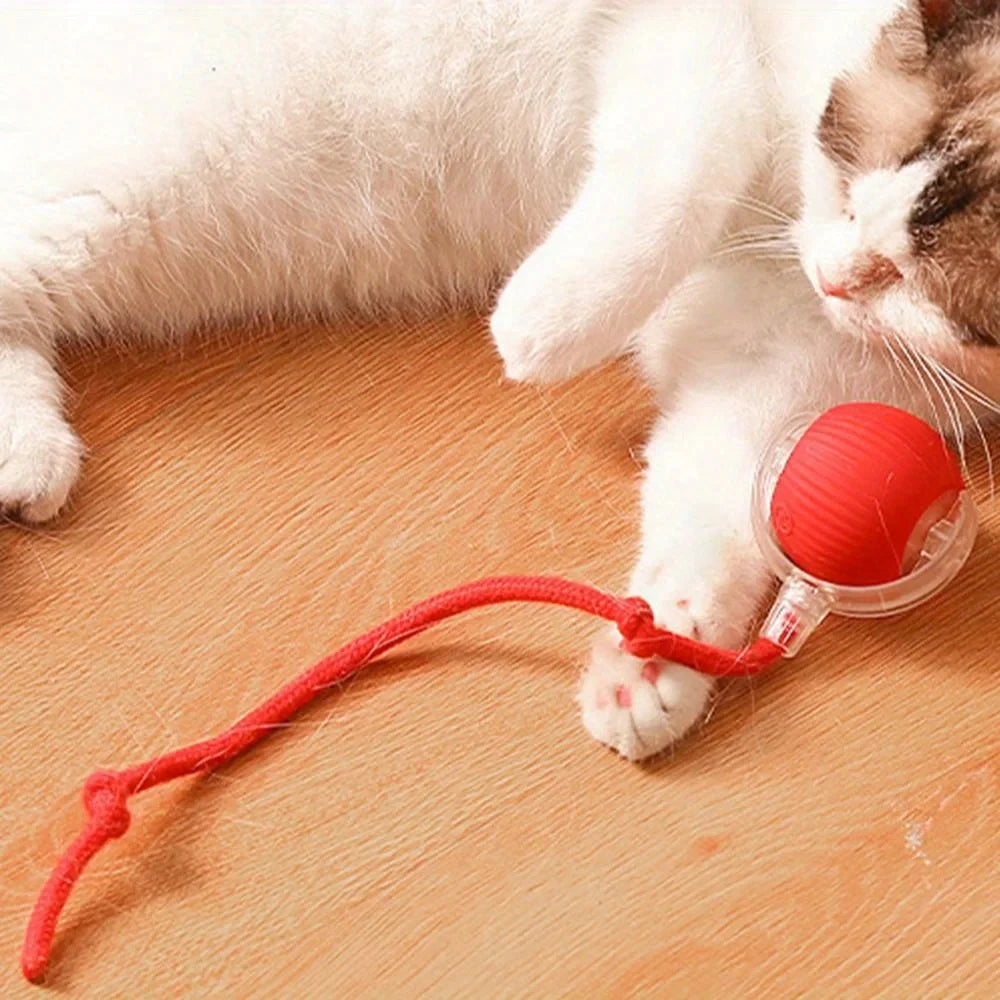 【In Stock】Smart Automatic Cat Rolling Ball USB Rechargeable LED Interactive Toy with Rope Tail Indoor Kitty Self Play Toy