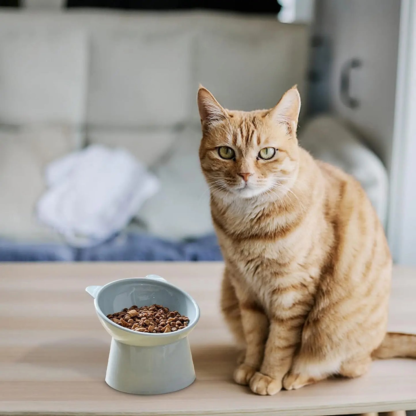 Tilted Cat Food Bowl - Whisker Friendly, Anti Vomiting, Slanted, Cat Bowl, Blue