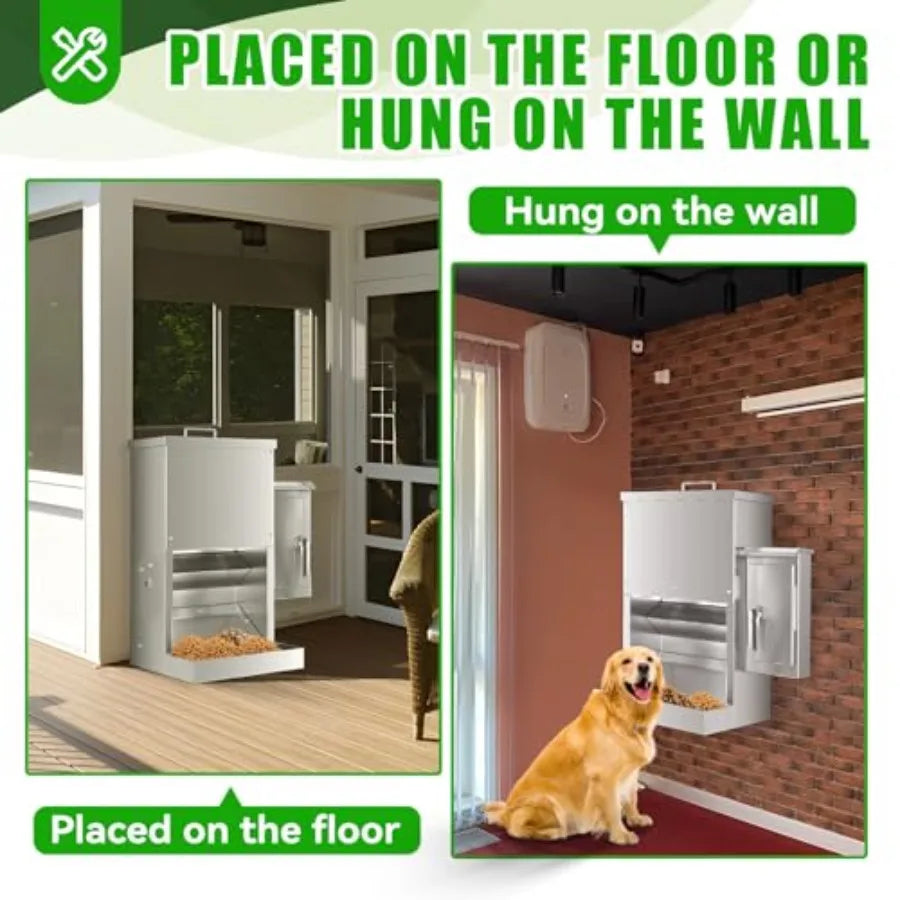 Programmable Pet Food Dispenser With Timer For Cats And Dogs