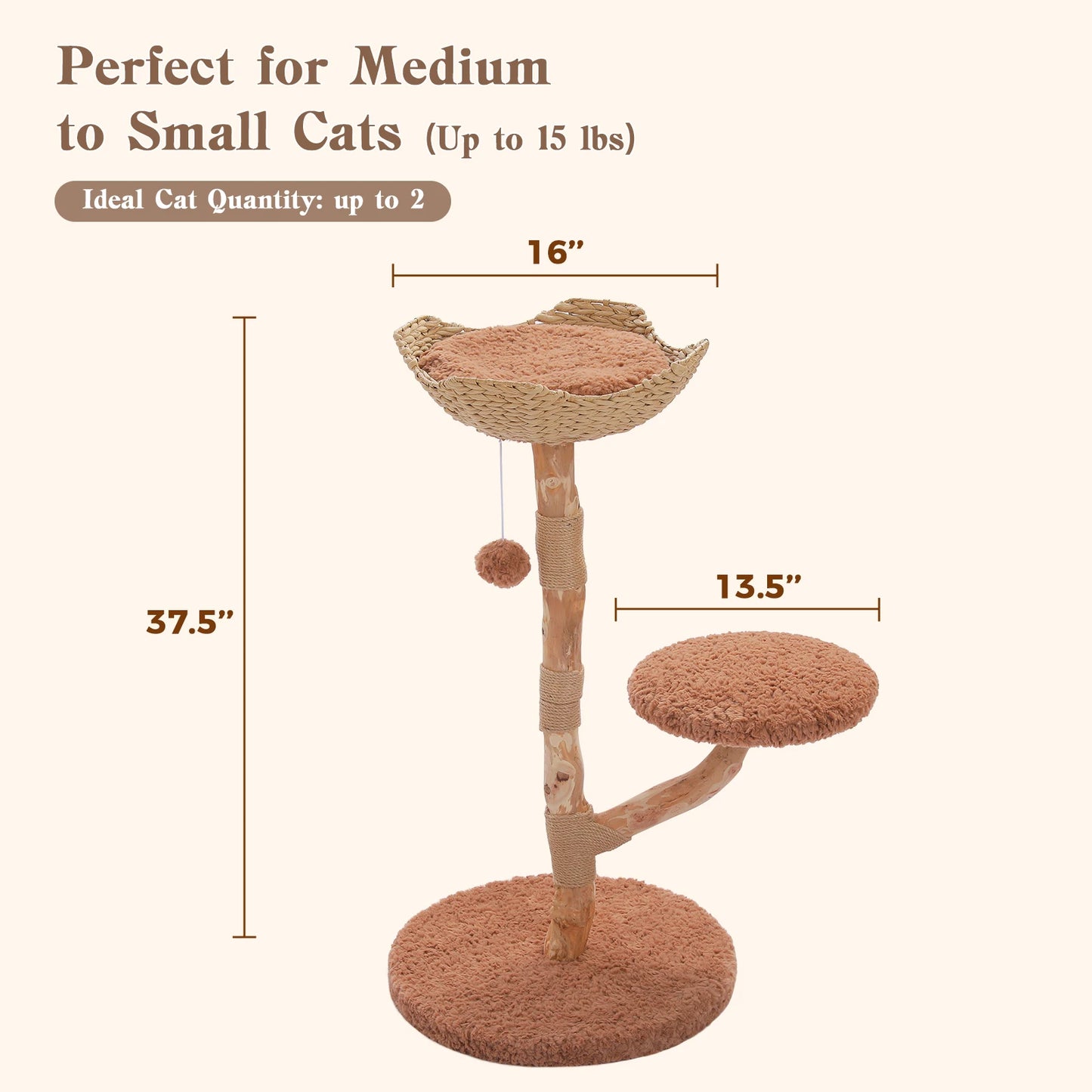 Wood Cat Tree with Wicker Basket Bed Sisal Scratching Posts Modern Cat Tower with Real Wood Branches Hanging Balls Luxury Boho Cat Furniture for Indoor Cat Toys