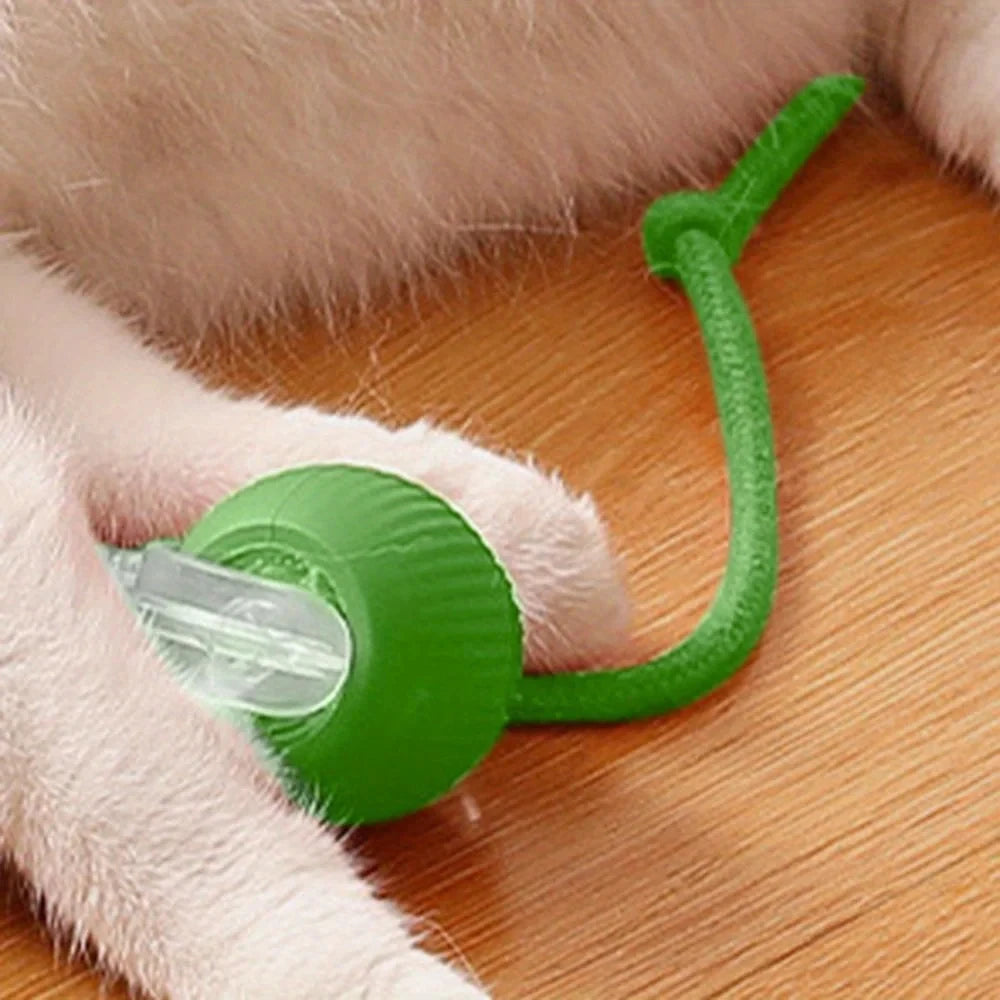 【In Stock】Smart Automatic Cat Rolling Ball USB Rechargeable LED Interactive Toy with Rope Tail Indoor Kitty Self Play Toy