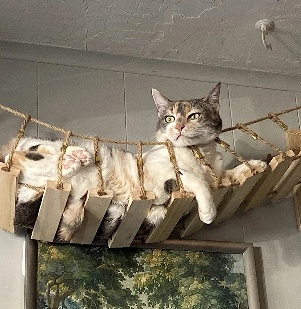 39.4In Wall-mounted Cat Roped Bridge for Indoor Cats Steps with Sisal Wall Wooden Furniture for Sleeping Playing Climbing