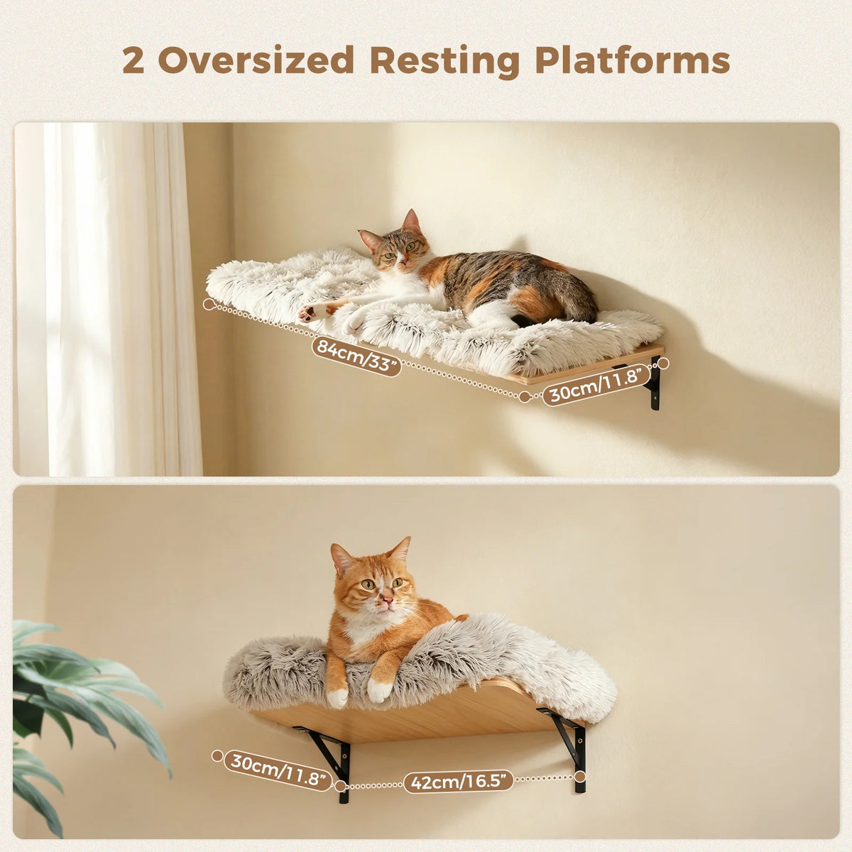 PAWZ Road Wooden Cat Wall Climbing Shelves With Scratching Posts