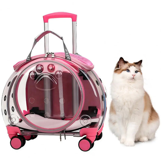 Pet Trolley Case Transparent Cat Carrier Backpack for Pets