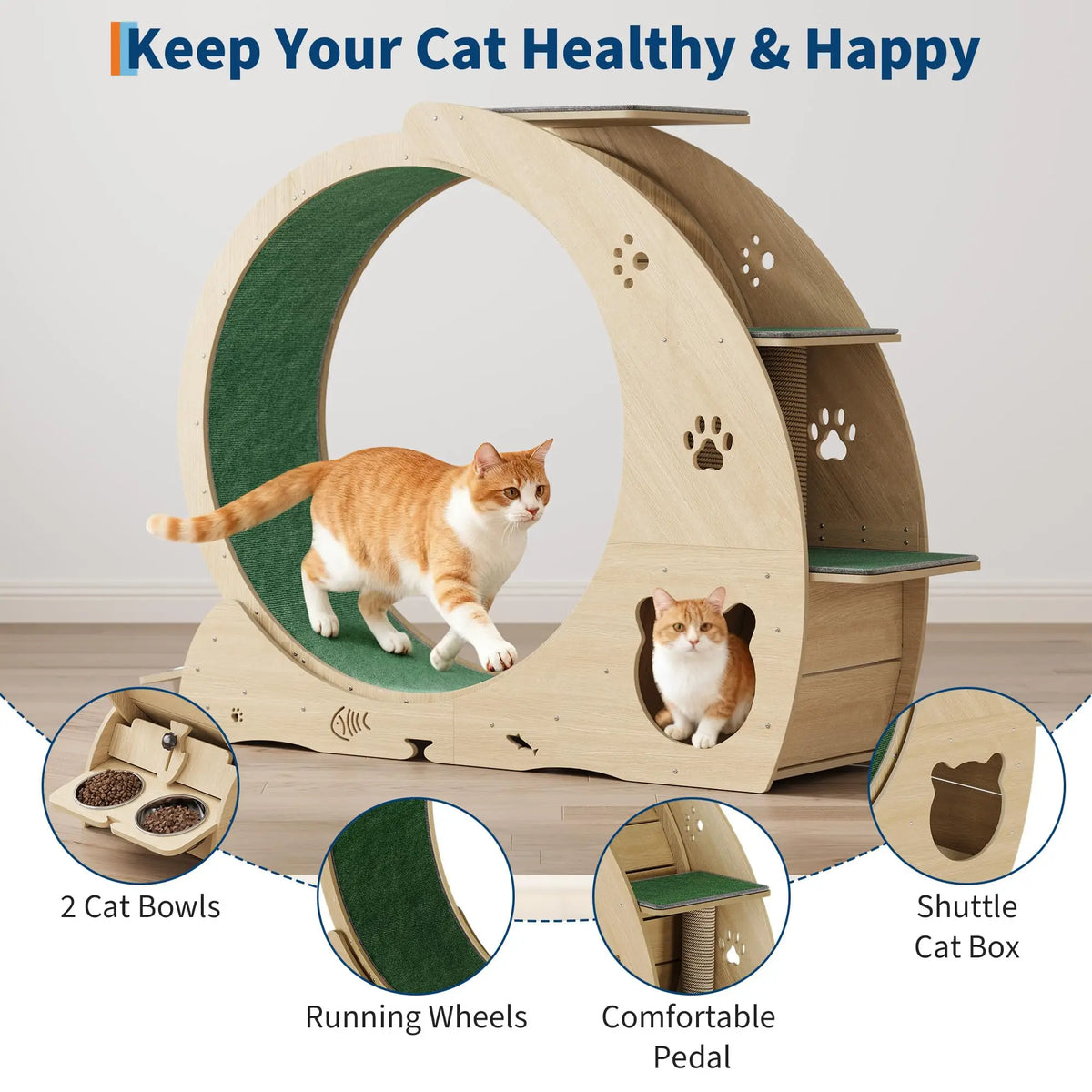 HiMISS 6 In 1 Cat Exercise Wheel With Scratch Post