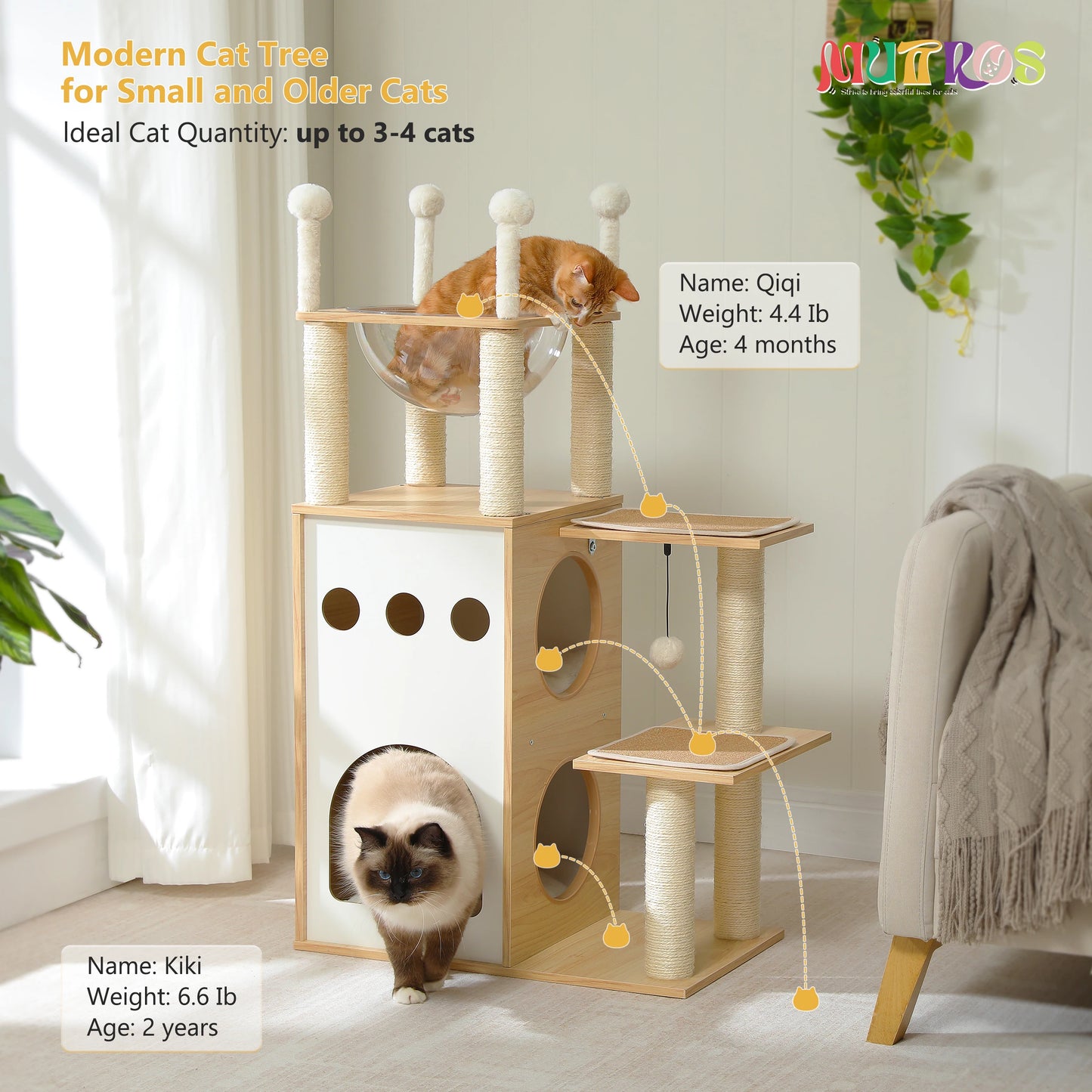 PETEPELA Wooden Cat Tree Tower Condo Scratching Posts Nest