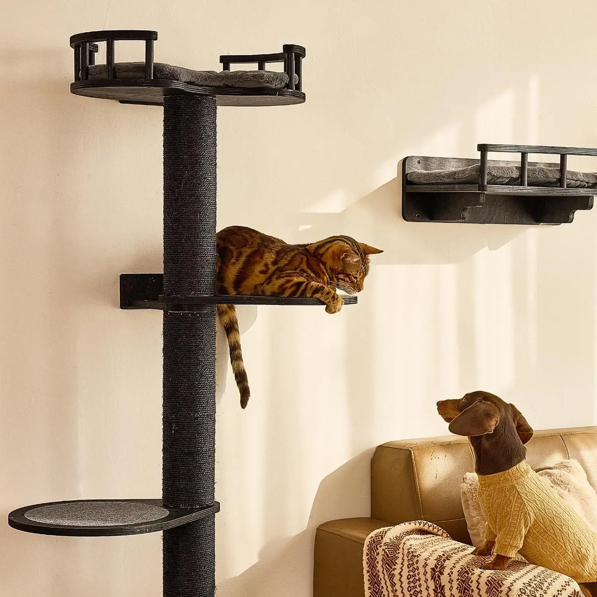 Wall Mounted Cat Furniture With Hammock Bed And Scratching Pad